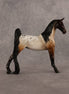 Elevensies OOAK Pebble Saddlebred by Alex Fortman LHS26
