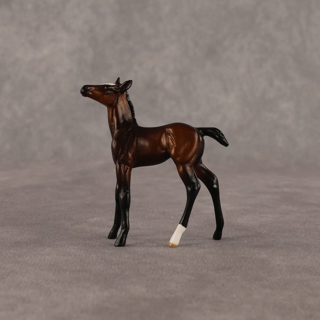 Elle OOAK Chip Foal by Anna Rieck EQ26