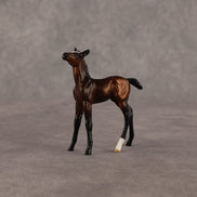 Elle OOAK Chip Foal by Anna Rieck EQ26