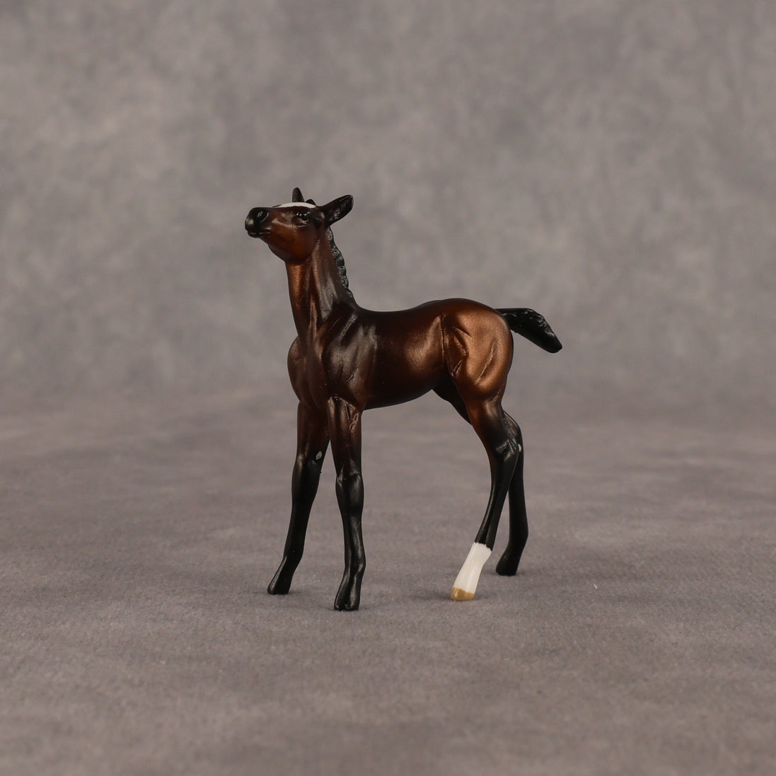 Elle OOAK Chip Foal by Anna Rieck EQ26
