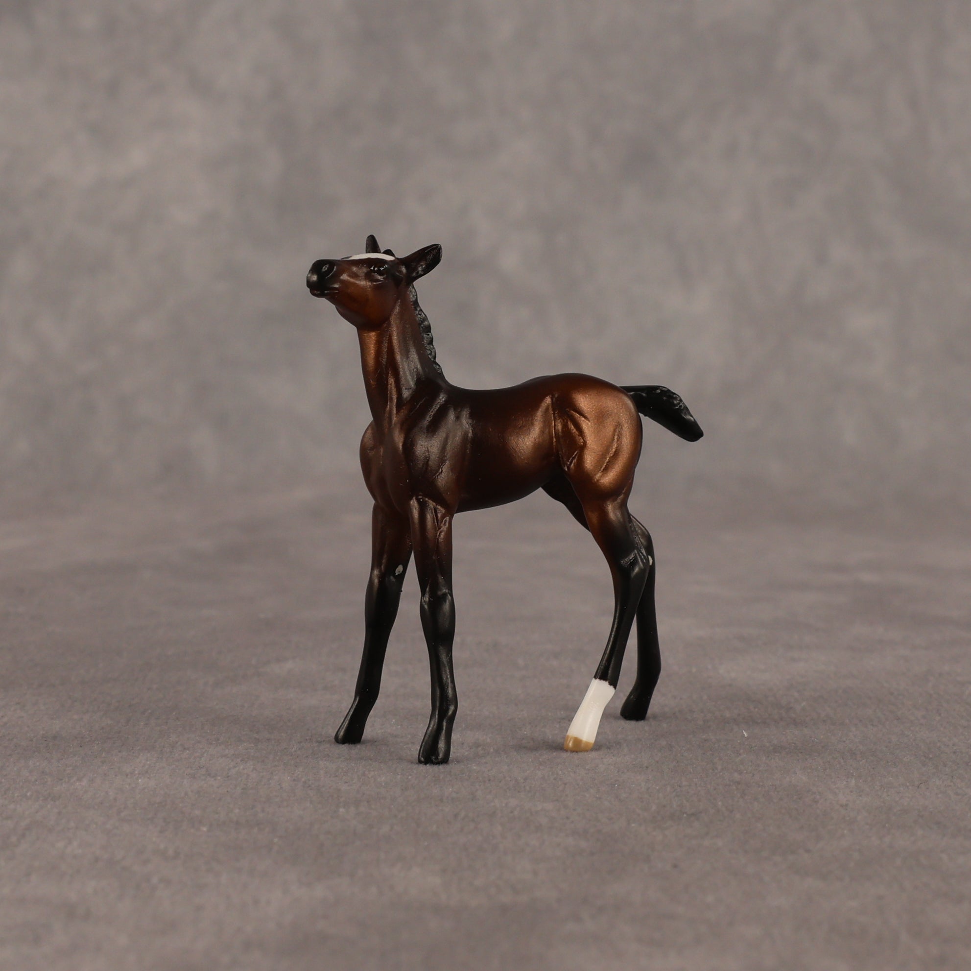 Elle OOAK Chip Foal by Anna Rieck EQ26