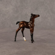 Elle OOAK Chip Foal by Anna Rieck EQ26