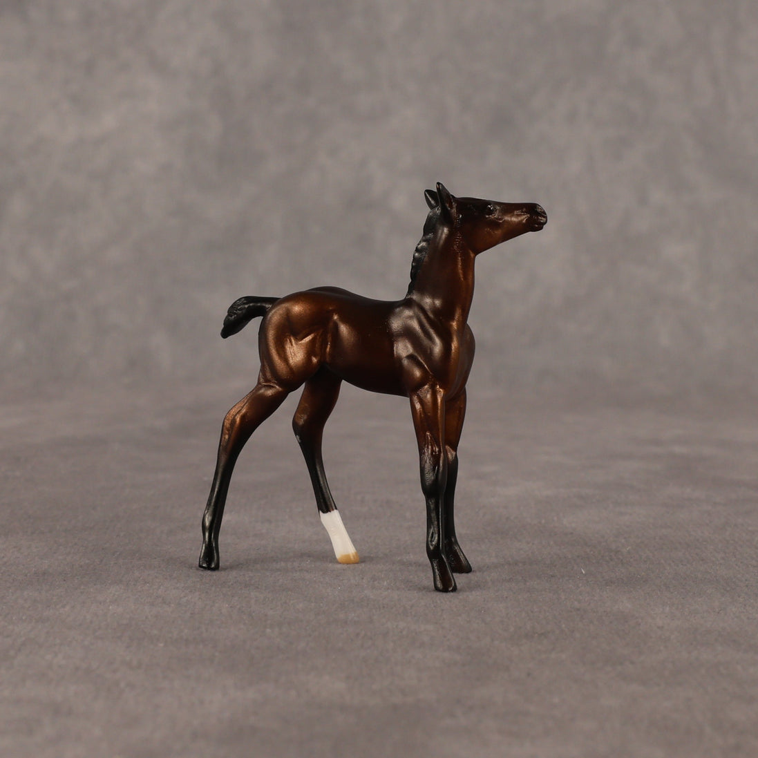 Elle OOAK Chip Foal by Anna Rieck EQ26