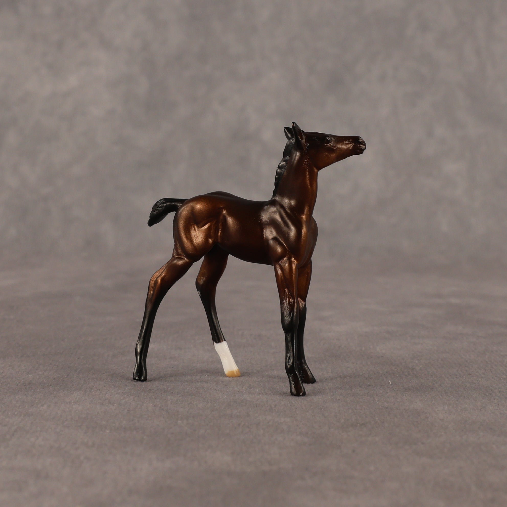 Elle OOAK Chip Foal by Anna Rieck EQ26