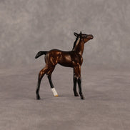 Elle OOAK Chip Foal by Anna Rieck EQ26