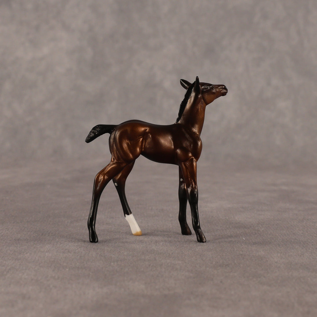 Elle OOAK Chip Foal by Anna Rieck EQ26