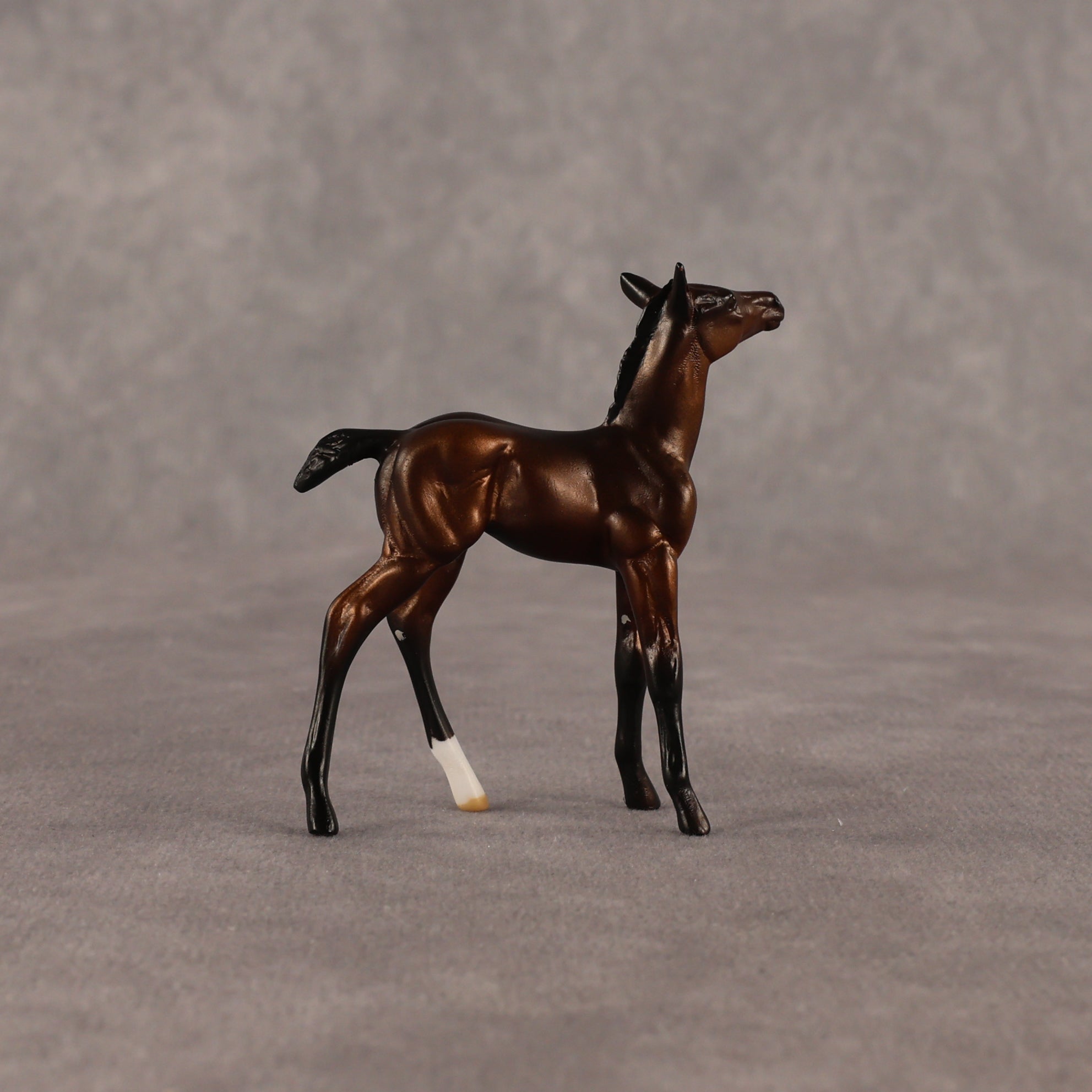 Elle OOAK Chip Foal by Anna Rieck EQ26