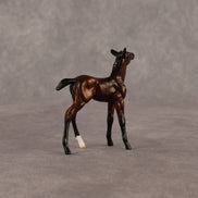 Elle OOAK Chip Foal by Anna Rieck EQ26