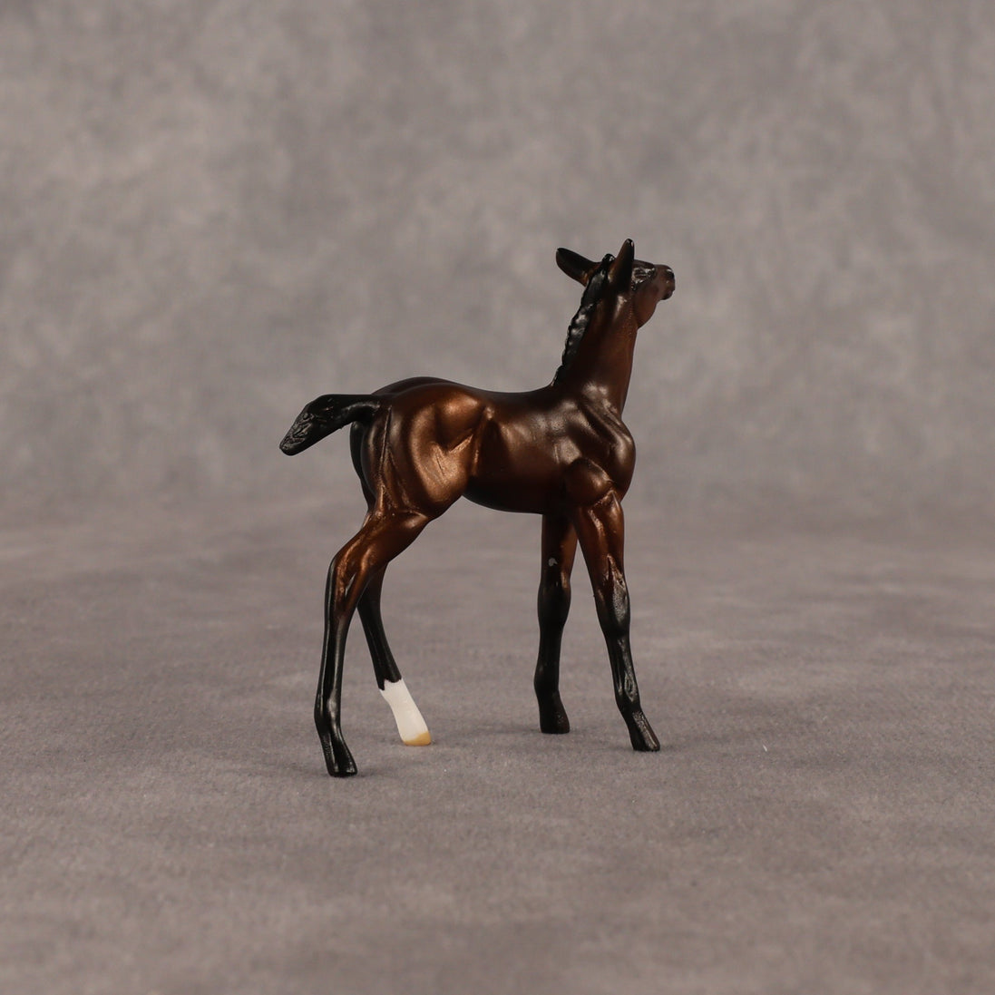 Elle OOAK Chip Foal by Anna Rieck EQ26