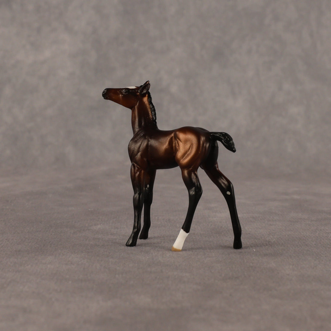 Elle OOAK Chip Foal by Anna Rieck EQ26