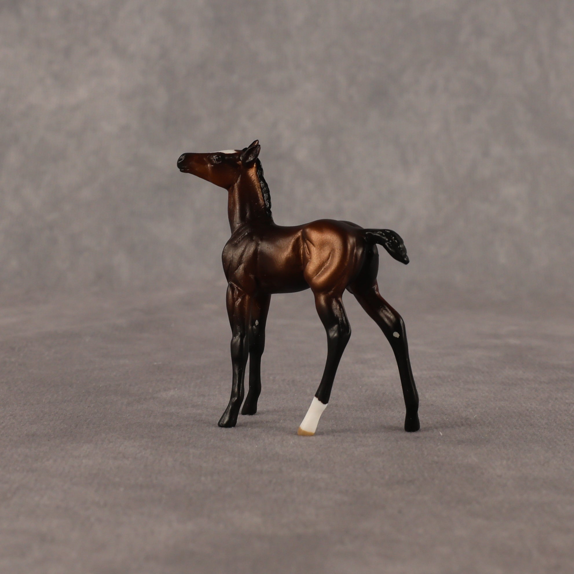 Elle OOAK Chip Foal by Anna Rieck EQ26