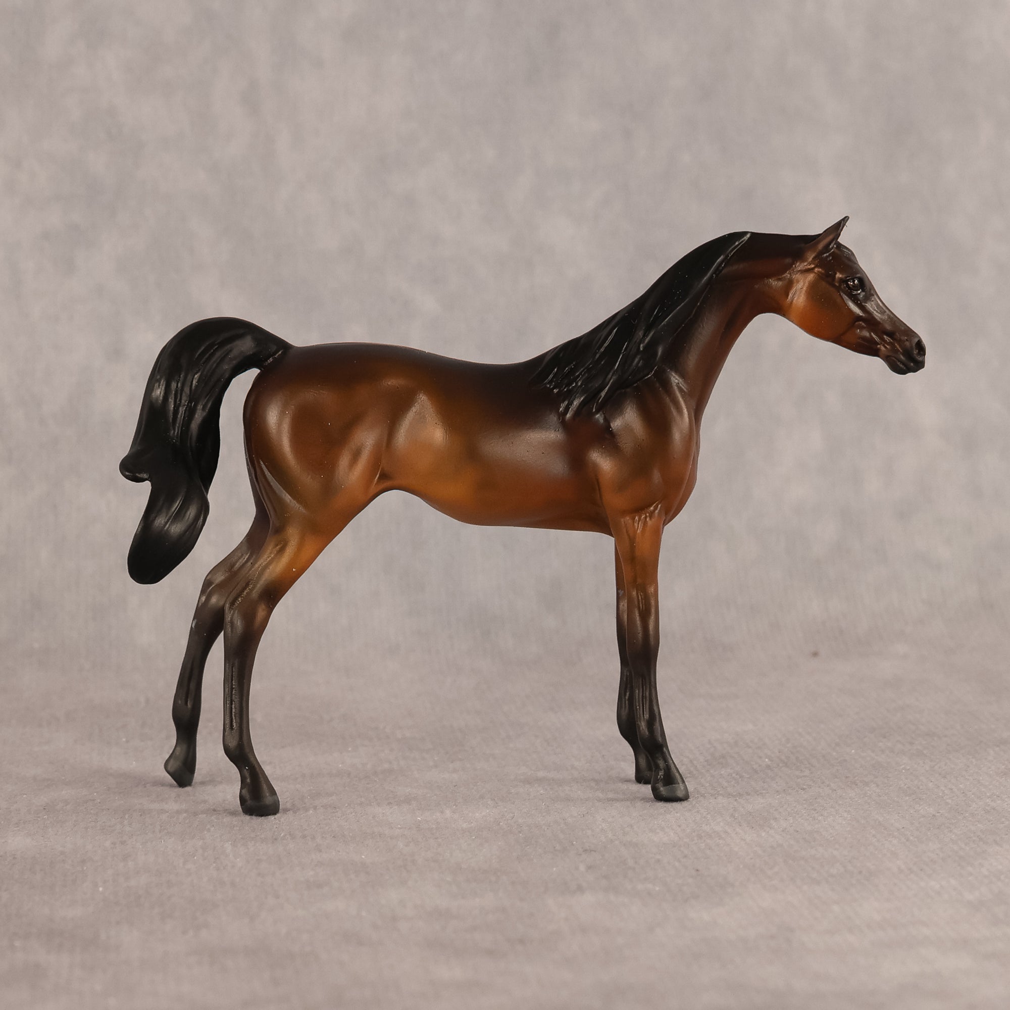 Emira OOAK EFCM Chip Arabian by Kristen Cermele GS26