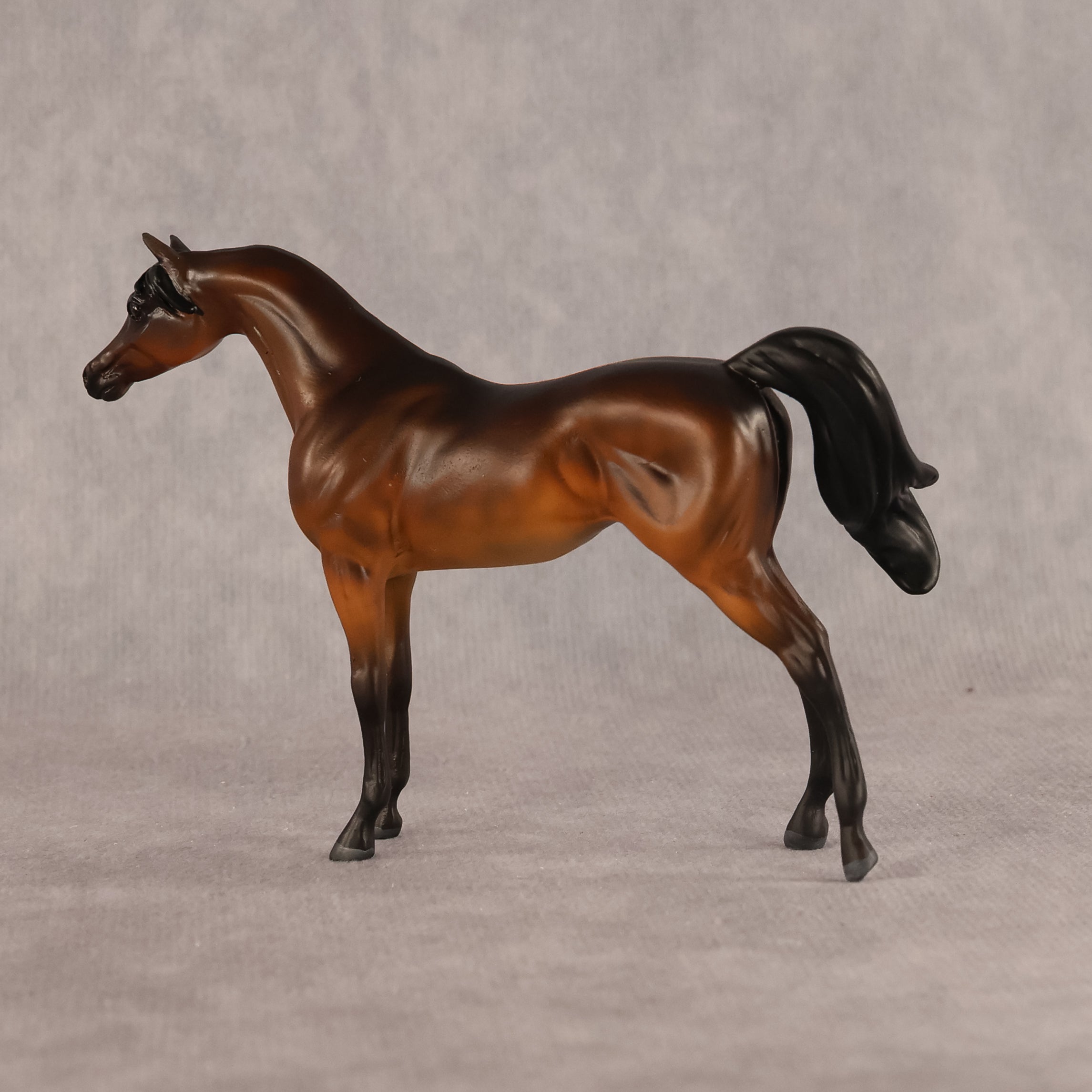 Emira OOAK EFCM Chip Arabian by Kristen Cermele GS26