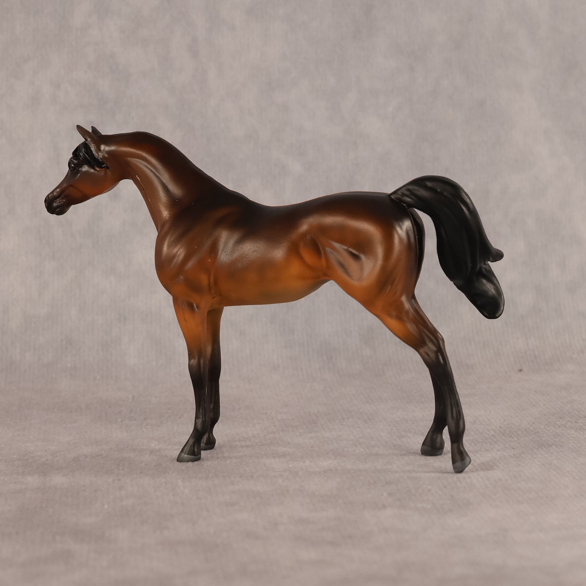 Emira OOAK EFCM Chip Arabian by Kristen Cermele GS26