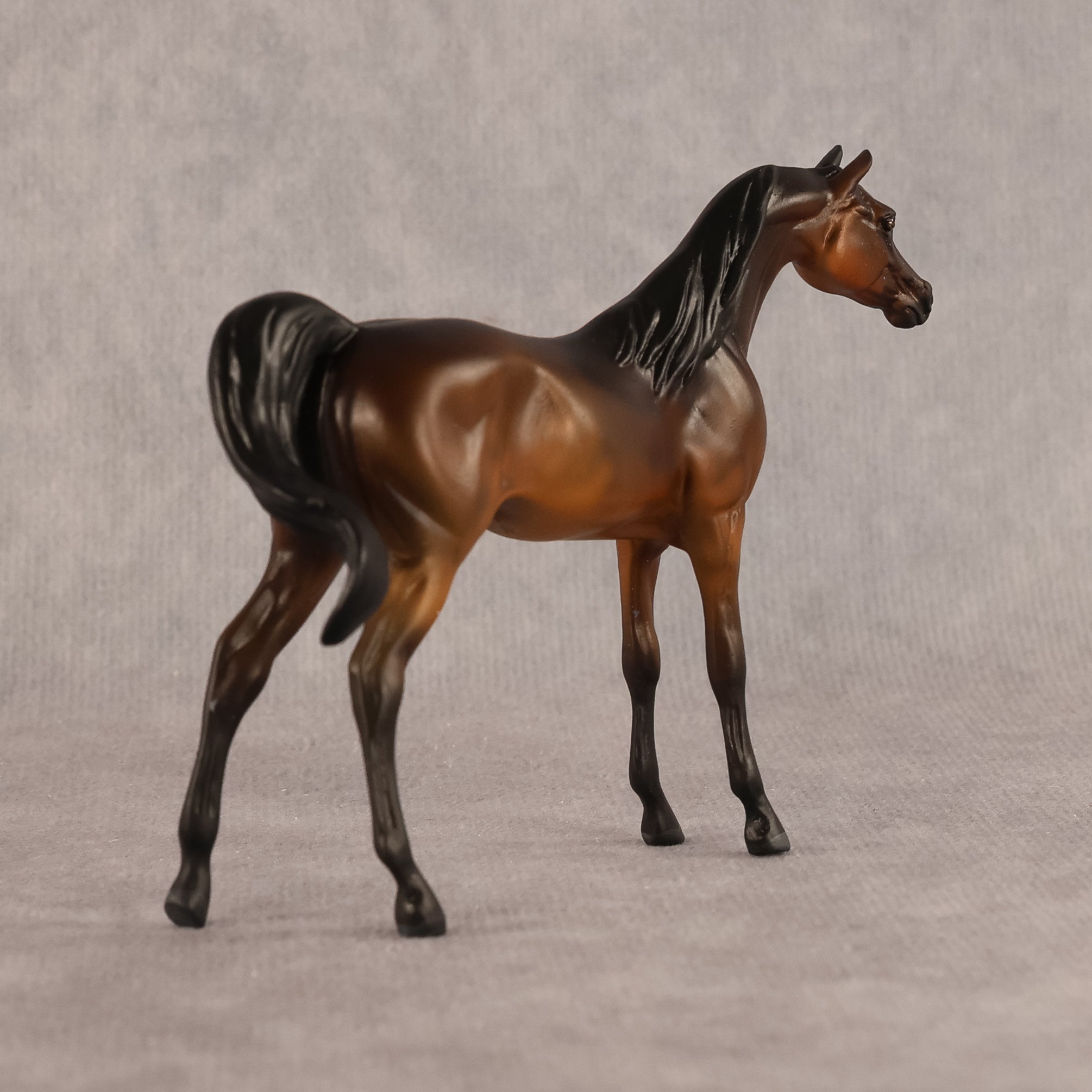 Emira OOAK EFCM Chip Arabian by Kristen Cermele GS26
