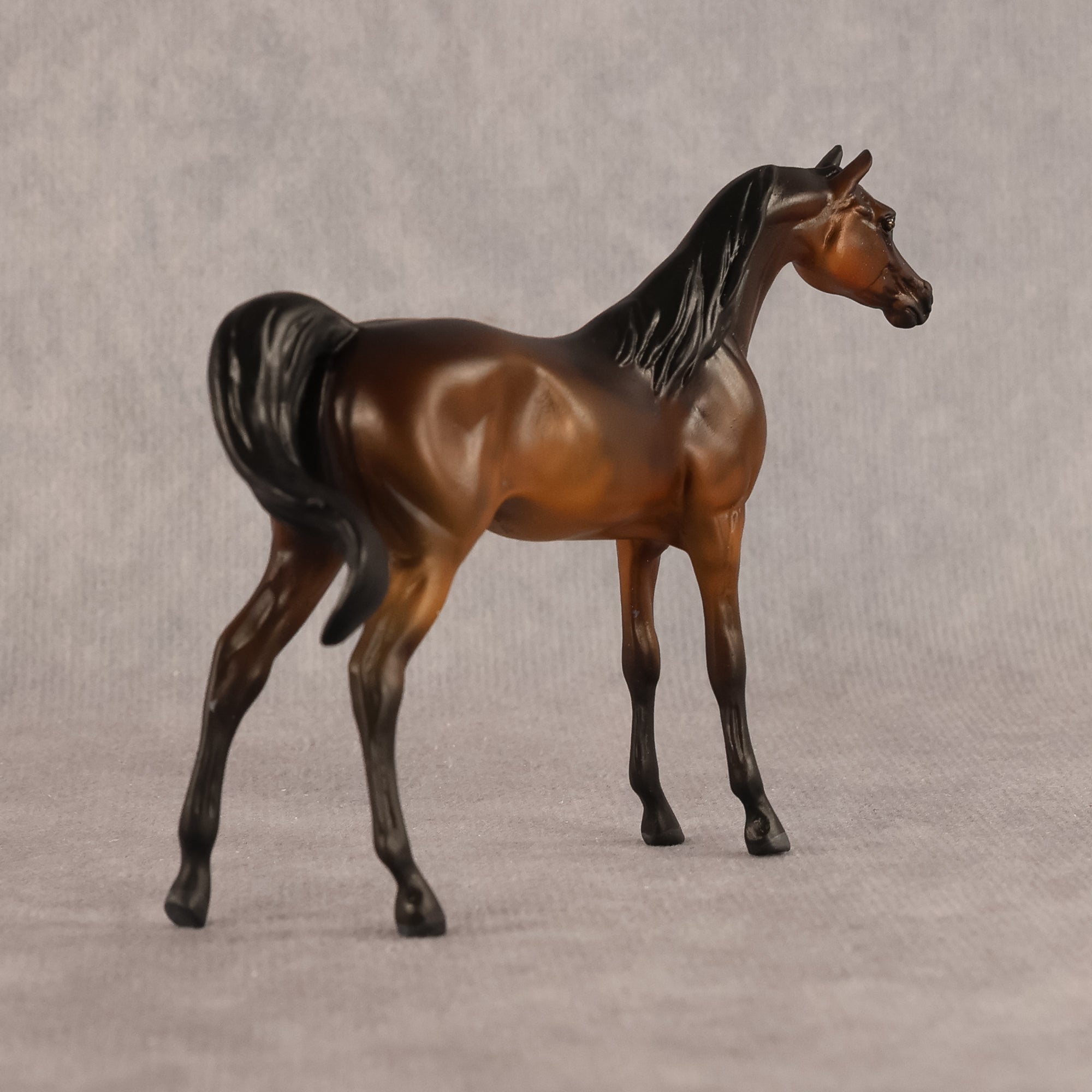 Emira OOAK EFCM Chip Arabian by Kristen Cermele GS26