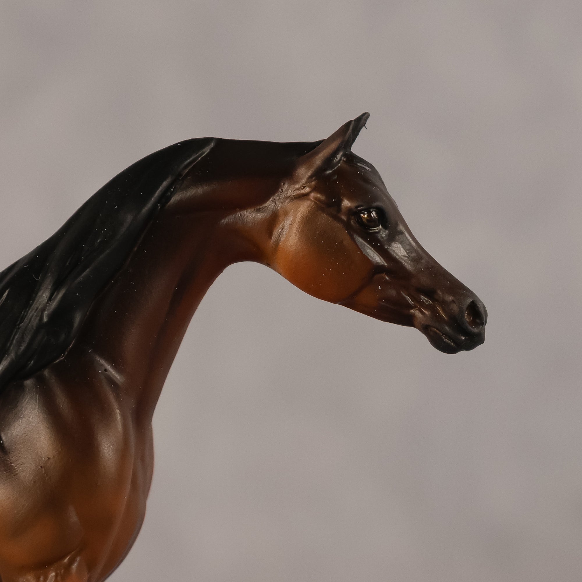 Emira OOAK EFCM Chip Arabian by Kristen Cermele GS26
