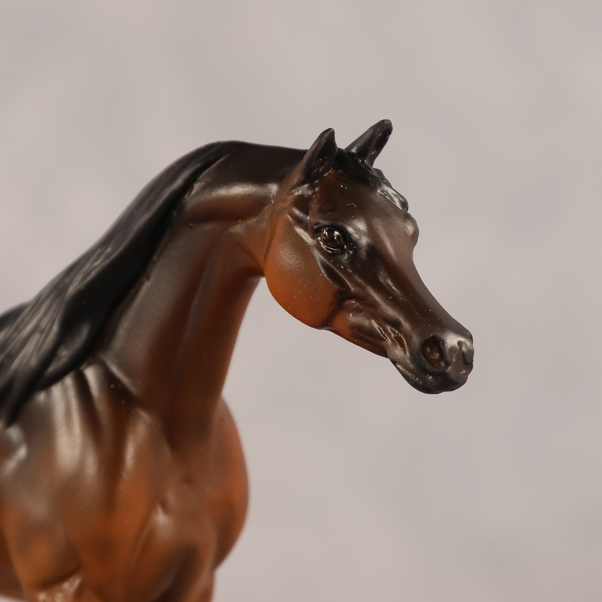 Emira OOAK EFCM Chip Arabian by Kristen Cermele GS26