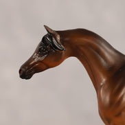 Emira OOAK EFCM Chip Arabian by Kristen Cermele GS26