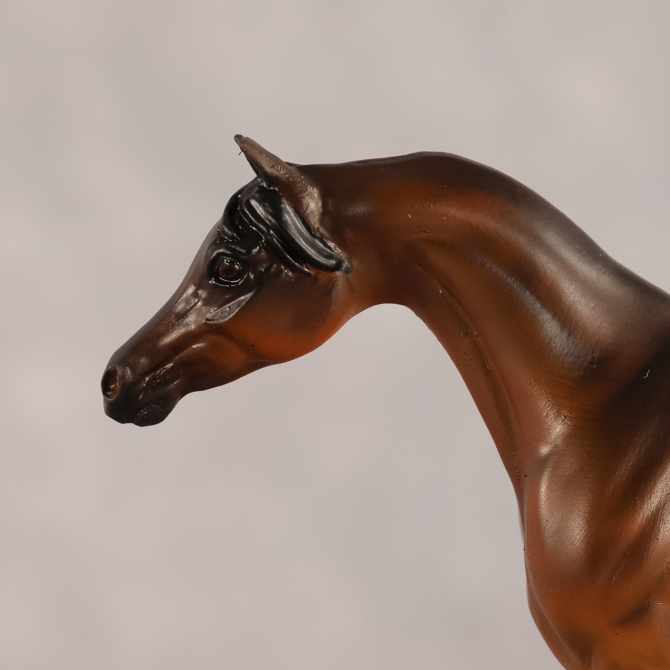Emira OOAK EFCM Chip Arabian by Kristen Cermele GS26