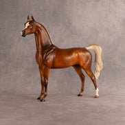 Enchanted OOAK Arabian Stallion by Julie Keim EQ26