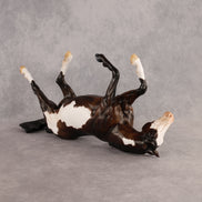 End of August OOAK EFCM Volo by Carly Kudalis Best Offer 9.29.2026