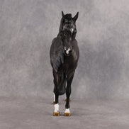 Enki OOAK FCM Andalusian by Jess Hamill Best Offer 8.26.2026