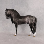 Enki OOAK FCM Andalusian by Jess Hamill Best Offer 8.26.2026