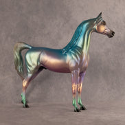 Enough About That OOAK Arabian Stallion by Alex Fortman EQ26