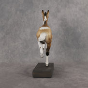 Baby Epona OOAK Pimento by Jess Hamill Best Offer 9.22.2026