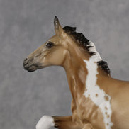 Baby Epona OOAK Pimento by Jess Hamill Best Offer 9.22.2026