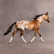 Equiflockity OOAK Palouse by Dawn Quick DDOOAKs26