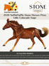 Little Colorado Sage LE-3 2026 NaMoPaiMo Prize Model FCM Volo By Ellen Robbins
