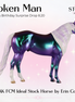 Token Man OOAK FCM Ideal Stock Horse by Erin Corbett EBSD26