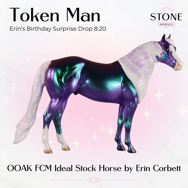 Token Man OOAK FCM Ideal Stock Horse by Erin Corbett EBSD26