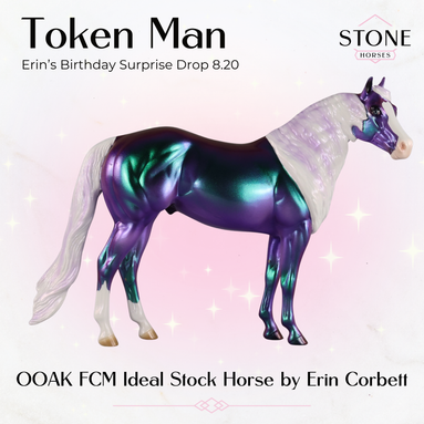 Token Man OOAK FCM Ideal Stock Horse by Erin Corbett EBSD26