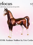 Refocus OOAK Arabian Stallion by Erin Corbett EBSD26