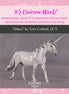 "Unico" Secret Surprise Chip Drop: Unicorn Day LE-5 Pony Chip By Erin Corbett