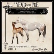 GLOSSY Erudite & Pupil LE-20 FCM Chip Set by Ellen Robbins YP26