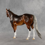 Espresso OOAK Ideal Stock Horse by Kristian Beverly DDOOAKs26
