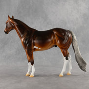 Espresso OOAK Ideal Stock Horse by Kristian Beverly DDOOAKs26
