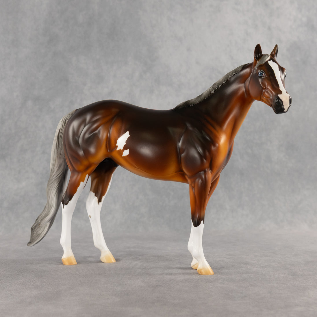 Espresso OOAK Ideal Stock Horse by Kristian Beverly DDOOAKs26