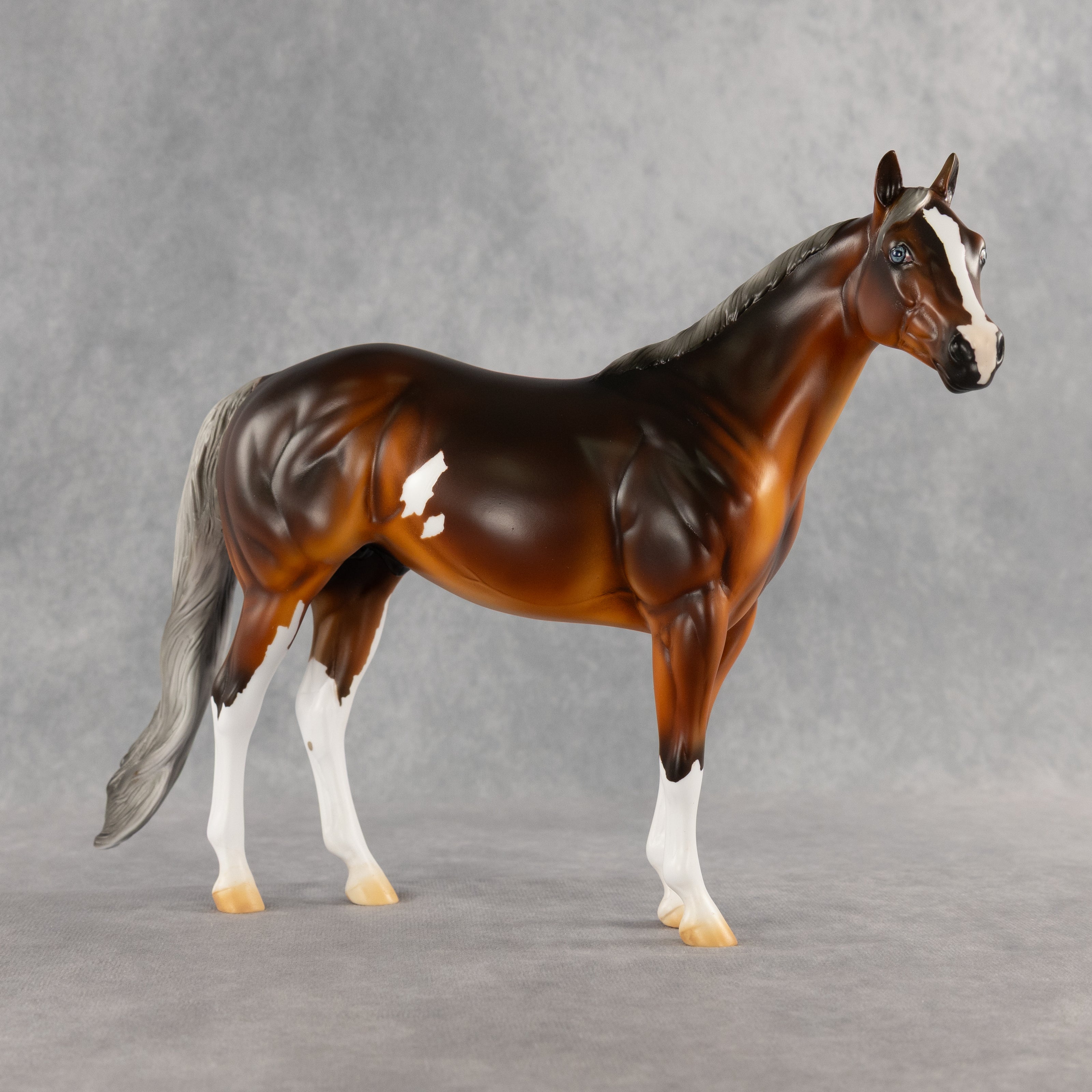 Espresso OOAK Ideal Stock Horse by Kristian Beverly DDOOAKs26