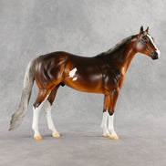 Espresso OOAK Ideal Stock Horse by Kristian Beverly DDOOAKs26