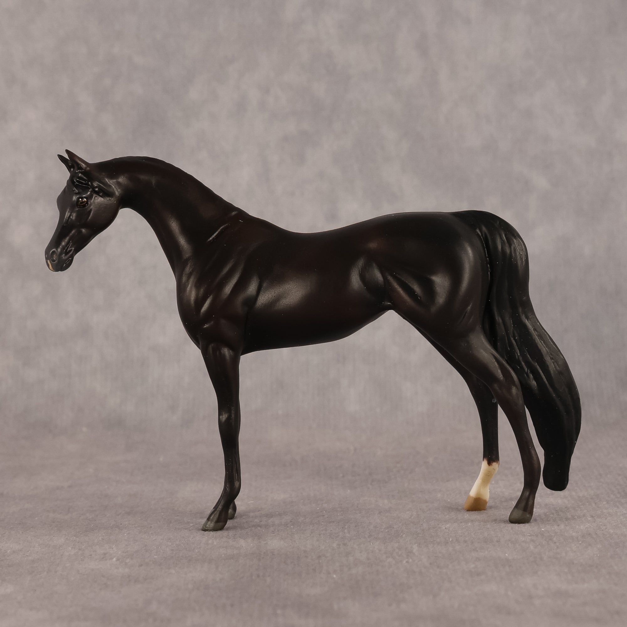 Esra OOAK EFCM Chip Arabian by Kristen Cermele GS26