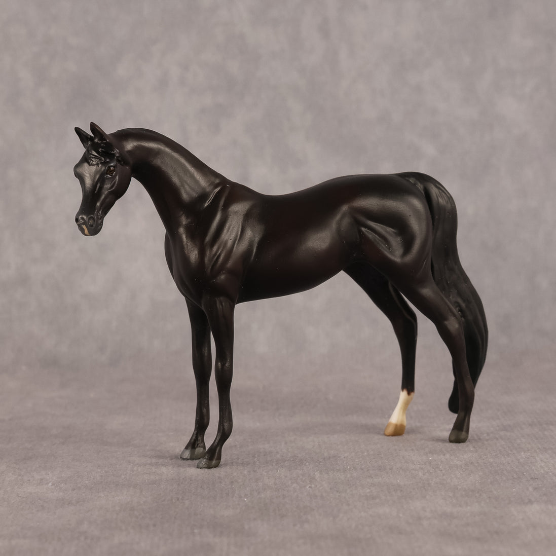 Esra OOAK EFCM Chip Arabian by Kristen Cermele GS26
