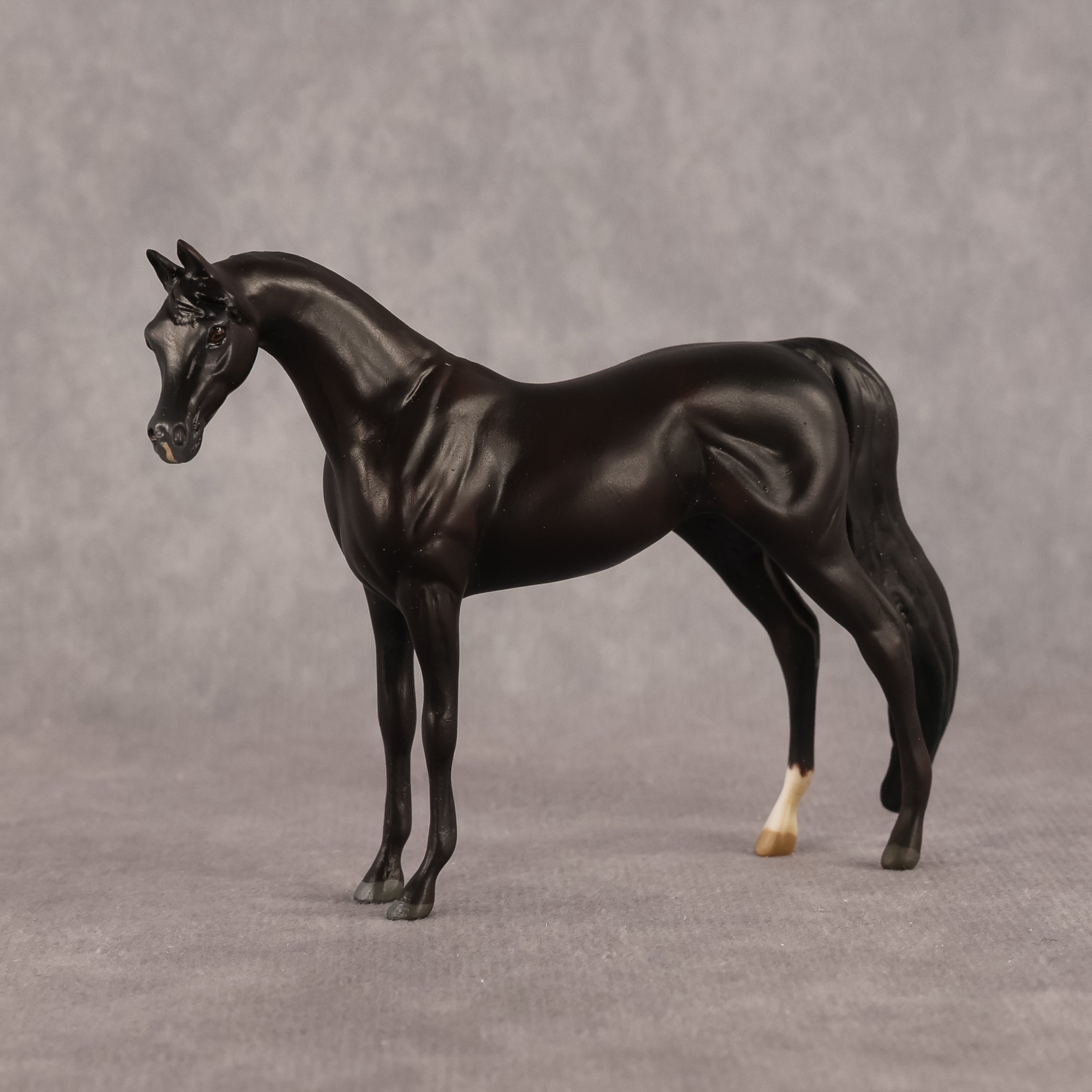 Esra OOAK EFCM Chip Arabian by Kristen Cermele GS26