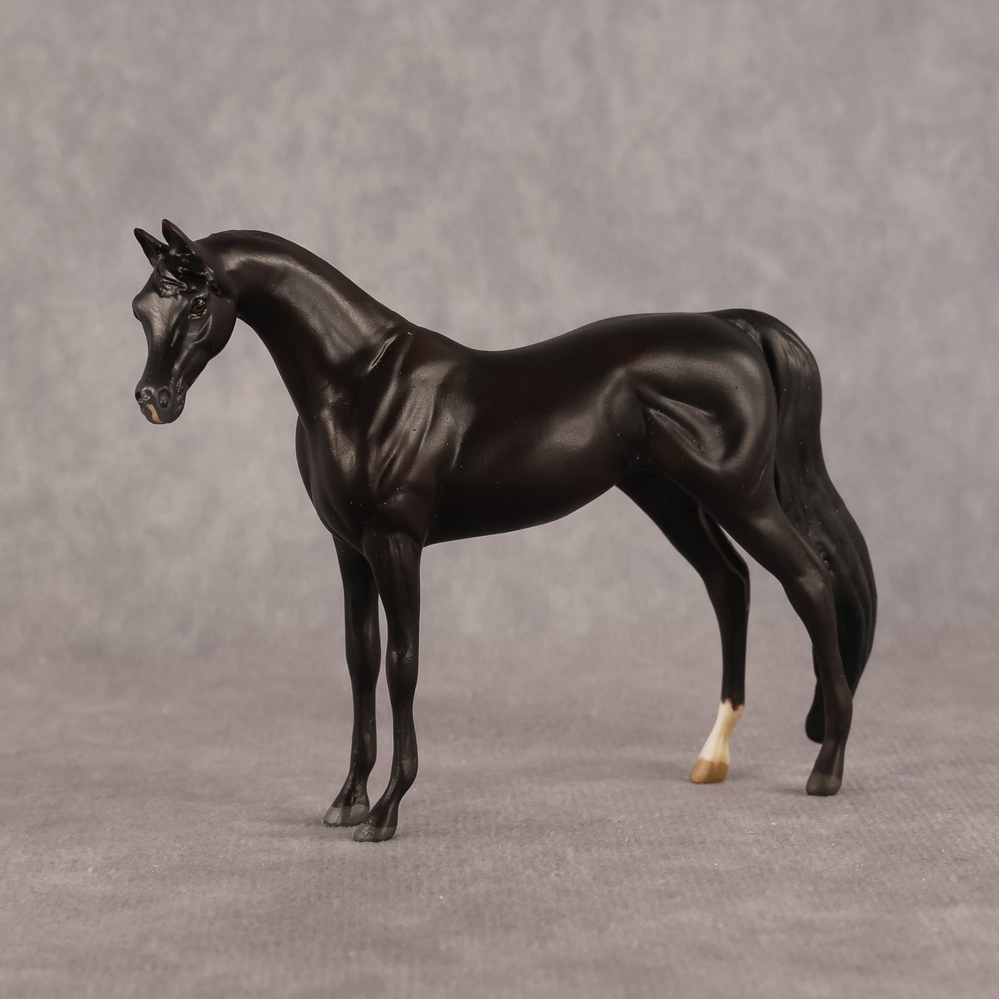 Esra OOAK EFCM Chip Arabian by Kristen Cermele GS26