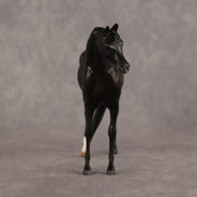 Esra OOAK EFCM Chip Arabian by Kristen Cermele GS26