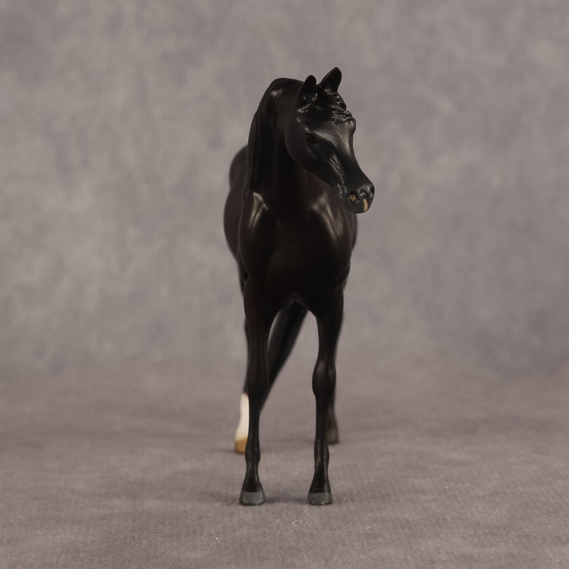 Esra OOAK EFCM Chip Arabian by Kristen Cermele GS26
